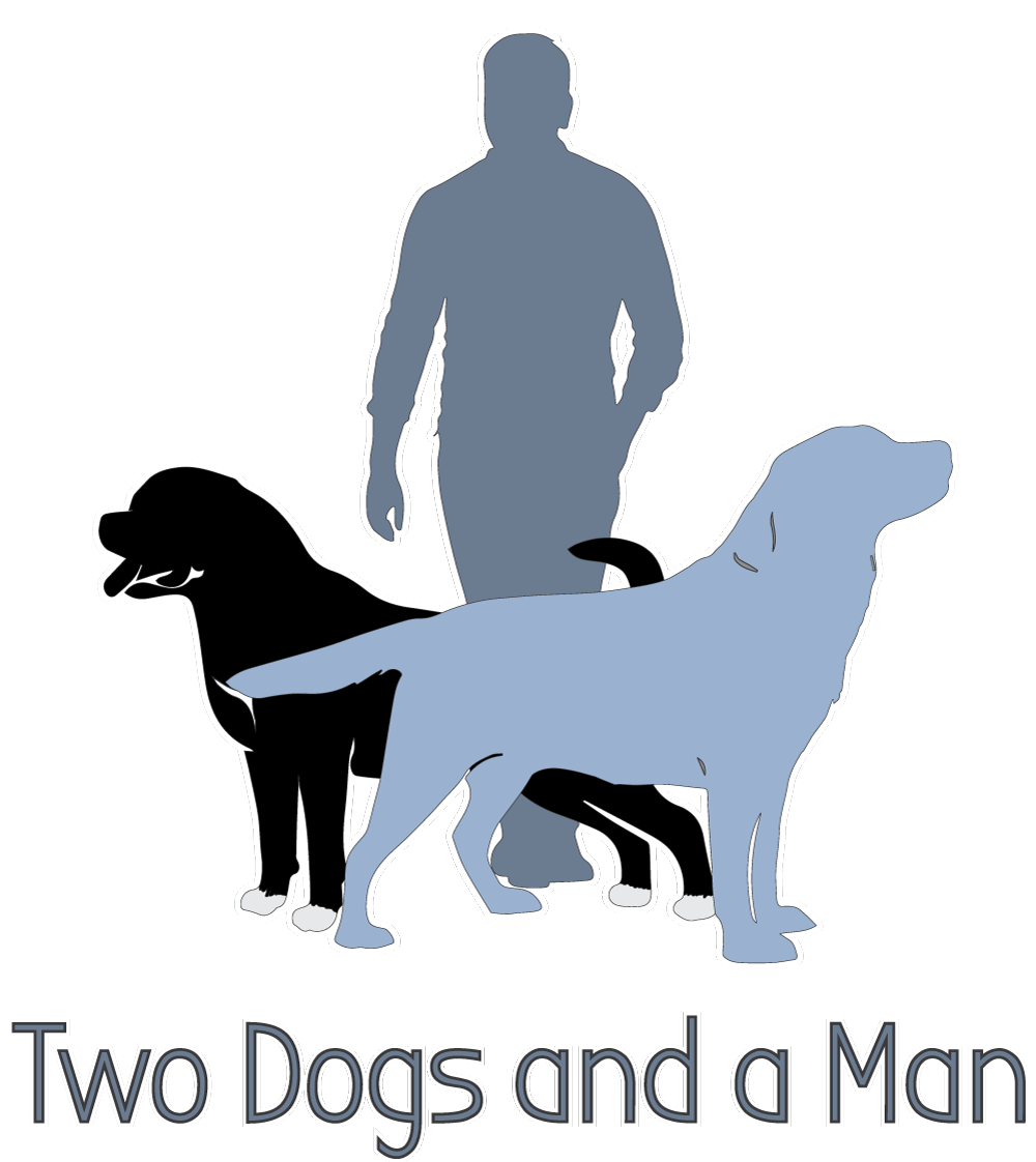 Two Dogs and a Man